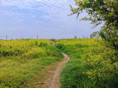 -桤木河湿地公园