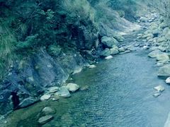 -宁波五龙潭景区