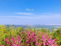 -鬼笑石后山停车场