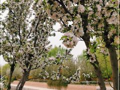 -元大都城垣遗址公园