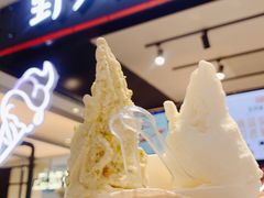 -野人先生现做冰淇淋(西安赛格店)