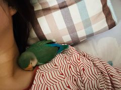 -红豆杉庄会议中心