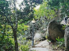 -亚龙湾热带天堂森林公园