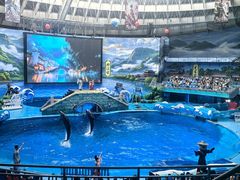 -海合安成都极地海洋公园
