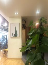 -涩谷· Hair Salon