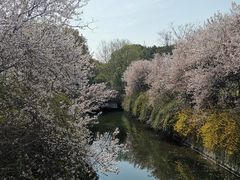-熙盛源(滨湖万达店)