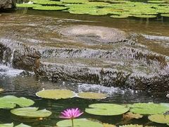 -红花湖景区