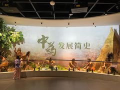 -广东中医药博物馆