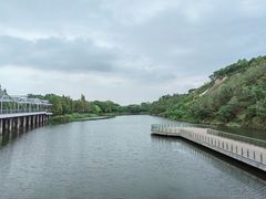 -西京湾花海