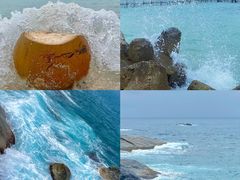 -亚龙湾热带天堂森林公园