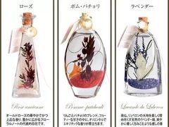 -荷兰布尔玛国际花艺学院