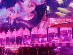 -华声天桥民俗文化园