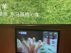 -巴奴毛肚火锅(京西大悦城店)