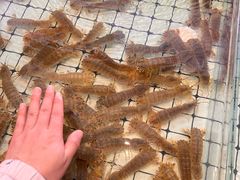 -大锅强·蒸海鲜青岛菜(金沙滩店)