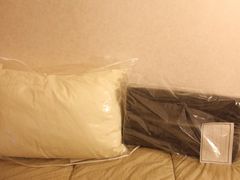 -Bic Camera (难波店)