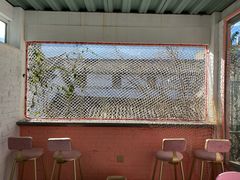 -喵屿·大理花园猫咖