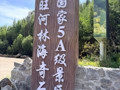 -汤旺河林海奇石景区