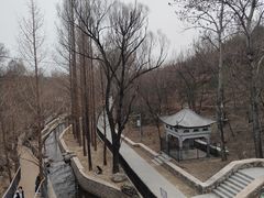 -白水寺森林公园