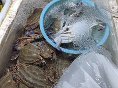 -密云菜市场