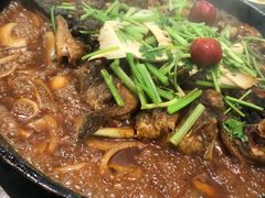 -老板恋上鱼(恒隆广场店)