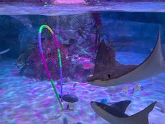 -沈阳海洋探索中心