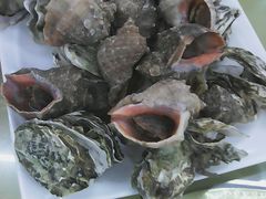 -日照大牌檔•小船海鲜(万平口店)