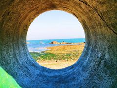 -海合安青岛极地海洋公园