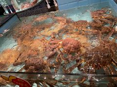 帝王蟹-尚海豆捞(乐虹坊店)