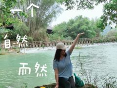 -靖西鹅泉风景区
