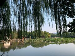 -西湖游船