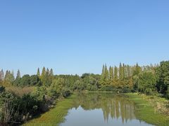 -南湖湿地公园