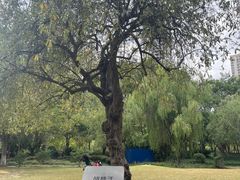 -苏州河梦清园环保主题公园