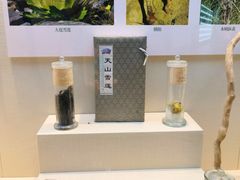 -广东中医药博物馆