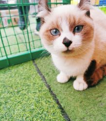 -萌宠亲子动物乐园(槐房万达店)