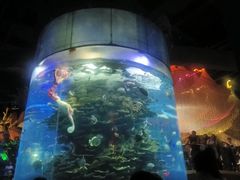 -泉城欧乐堡海洋极地世界