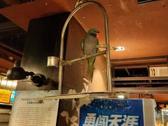 -鹦鹉小厨味道餐厅(山大南路店)
