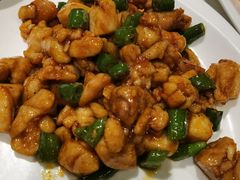 -丁老爷子苏香圆