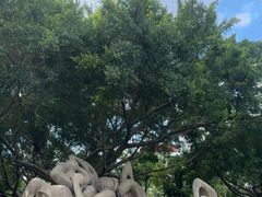 -白鹭洲公园