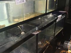 -斯通泰伯酒店-餐厅