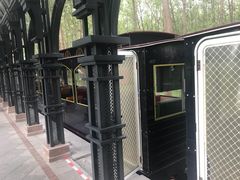 -合肥滨湖国家森林公园