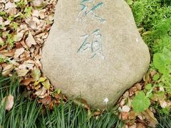 -南汇桃花村
