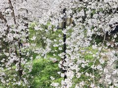 -苏州上方山国家森林公园