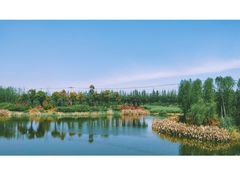 -上海长兴岛郊野公园