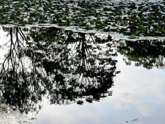 -石湖景区