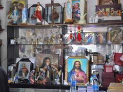 -上海佘山国家森林公园西佘山园