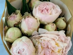 -双季花艺园艺市场(浦东店)
