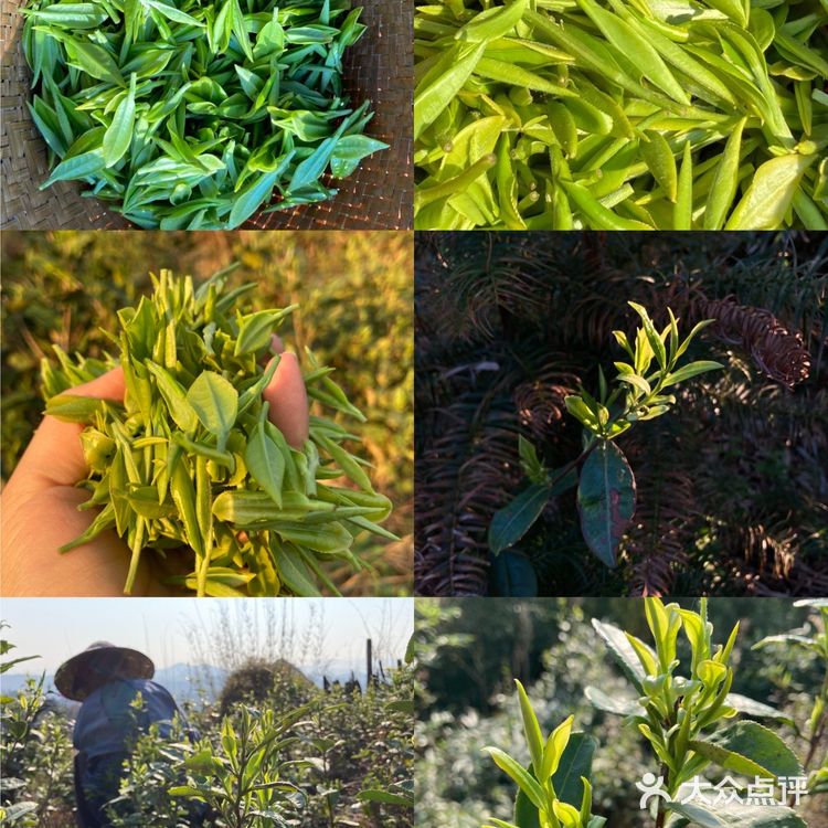 柳州周边游 | 石上人家景区最全攻略～看一篇就够了