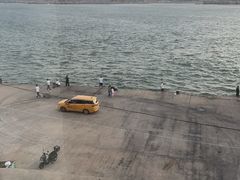 -魚當家