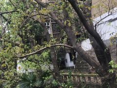 -西南政法大学(渝北校区)