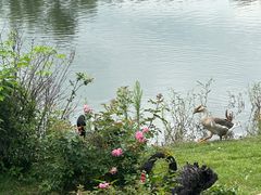 -长春市南湖公园